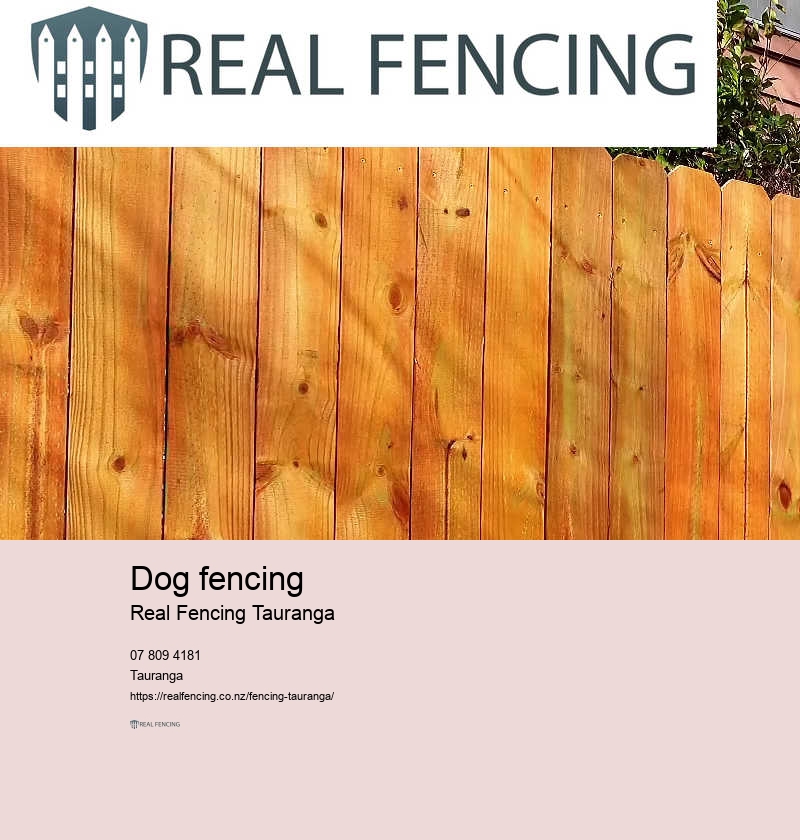 Commercial metal fencing