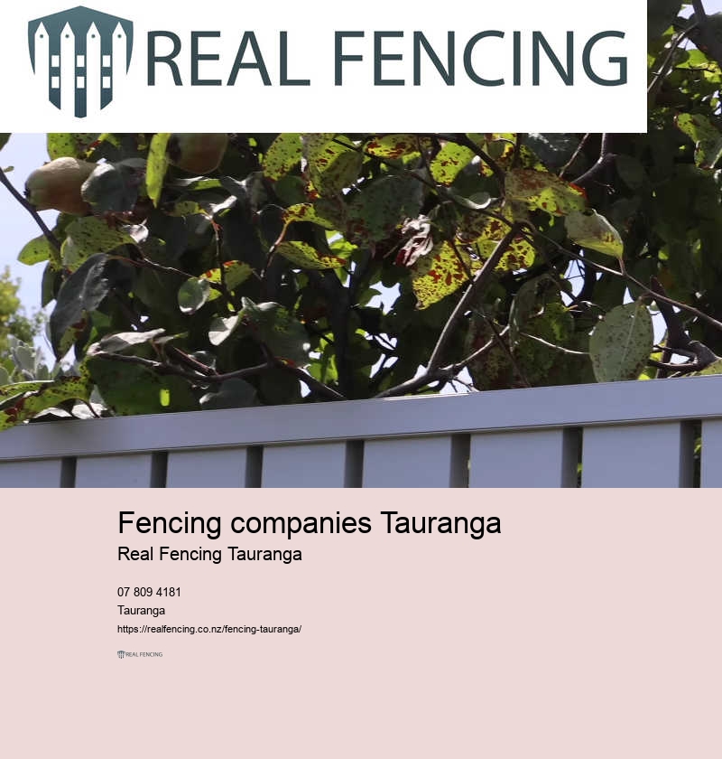 Metal fencing contractors near me