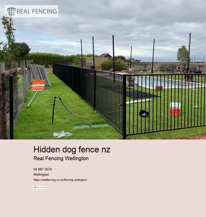 hidden dog fence nz