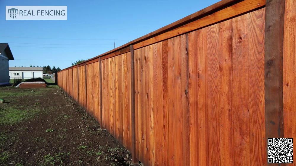 Fence Designs