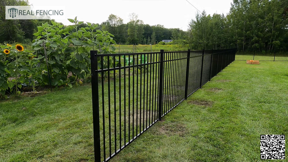 metal fencing wellington